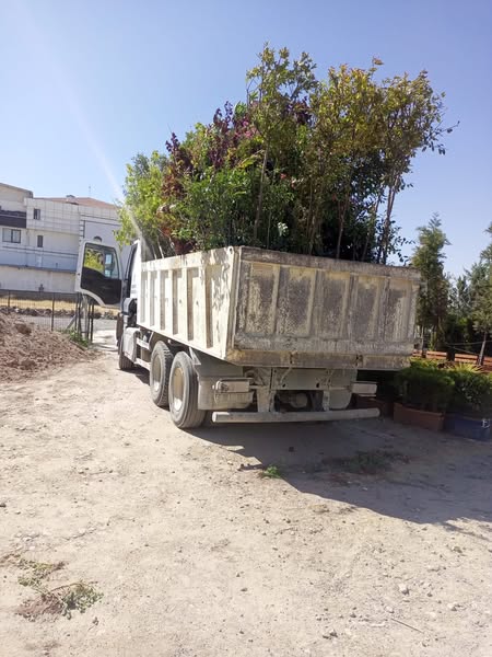 Çalışınca Oluyor